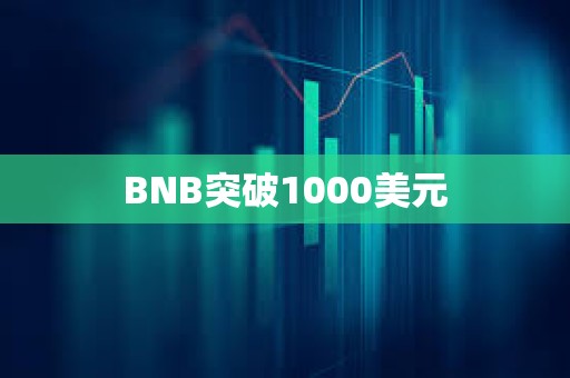 BNB突破1000美元