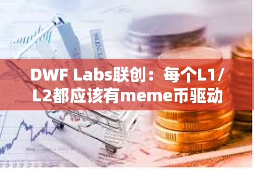 DWF Labs聯創：每個L1/L2都應該有meme幣驅動用戶參與
