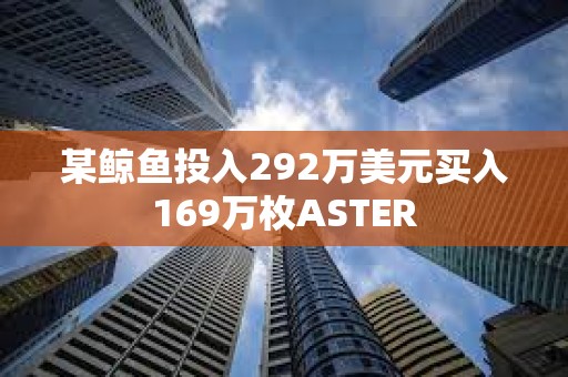 某鯨魚投入292萬美元買入169萬枚ASTER