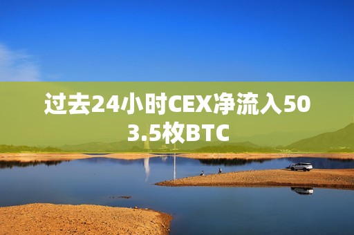 過去24小時CEX凈流入503.5枚BTC