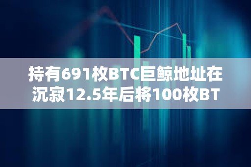 持有691枚BTC巨鯨地址在沉寂12.5年后將100枚BTC轉移至兩錢包