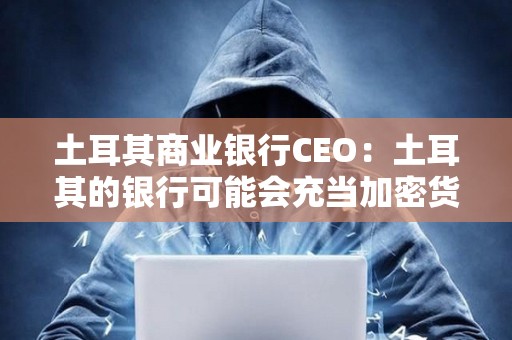 土耳其商業銀行CEO：土耳其的銀行可能會充當加密貨幣托管人