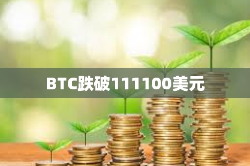 BTC跌破111100美元