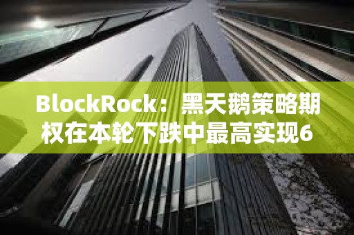BlockRock：黑天鵝策略期權(quán)在本輪下跌中最高實現(xiàn)60倍收益