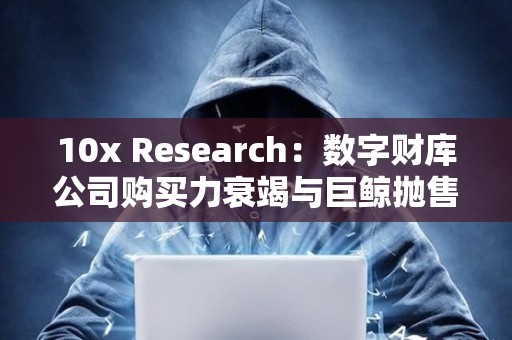 10x Research：數(shù)字財(cái)庫(kù)公司購(gòu)買力衰竭與巨鯨拋售正限制比特幣上漲
