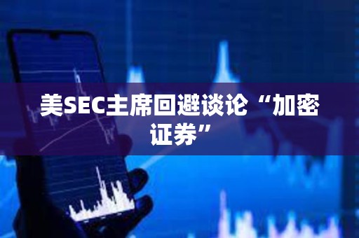 美SEC主席回避談論“加密證券”
