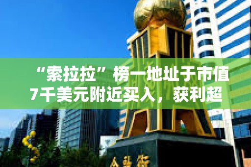 “索拉拉”榜一地址于市值7千美元附近買入，獲利超2650倍