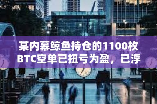 某內(nèi)幕鯨魚持倉的1100枚BTC空單已扭虧為盈，已浮盈34.5萬美元