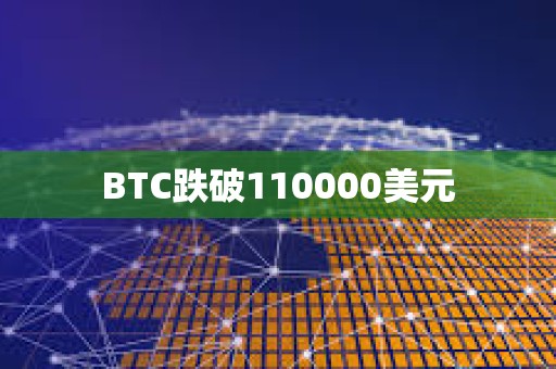 BTC跌破110000美元