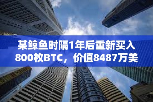 某鯨魚時隔1年后重新買入800枚BTC，價值8487萬美元