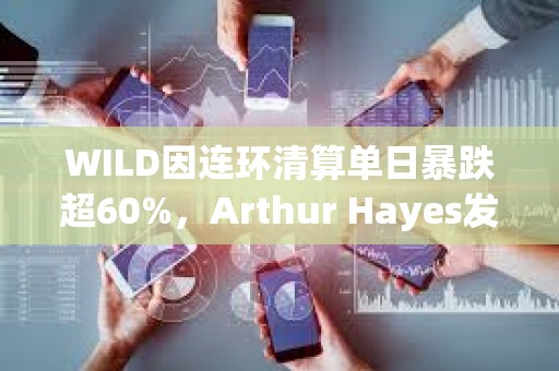WILD因連環清算單日暴跌超60%，Arthur Hayes發文表示已抄底