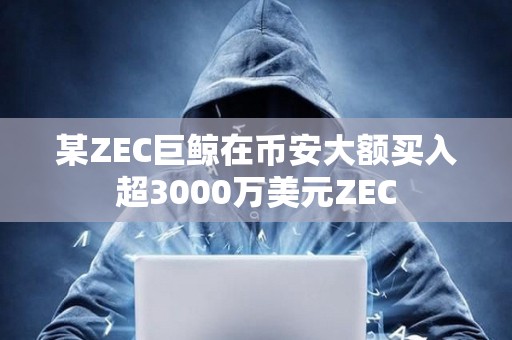 某ZEC巨鯨在幣安大額買入超3000萬(wàn)美元ZEC