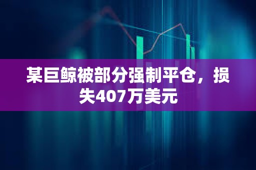 某巨鯨被部分強(qiáng)制平倉，損失407萬美元