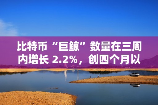 比特幣“巨鯨”數(shù)量在三周內(nèi)增長 2.2%，創(chuàng)四個(gè)月以來最高水平