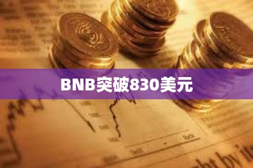 BNB突破830美元