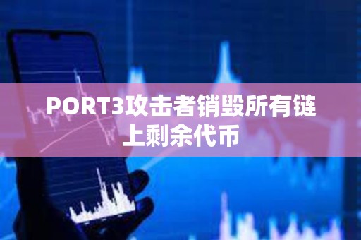 PORT3攻擊者銷(xiāo)毀所有鏈上剩余代幣