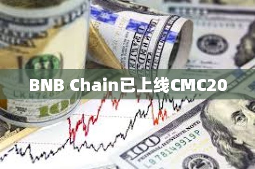BNB Chain已上線CMC20