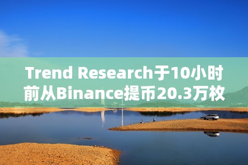Trend Research于10小時前從Binance提幣20.3萬枚ENS