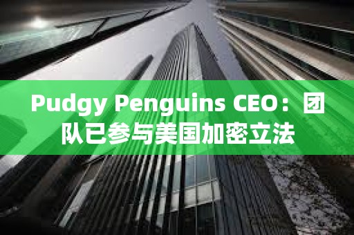 Pudgy Penguins CEO：團隊已參與美國加密立法