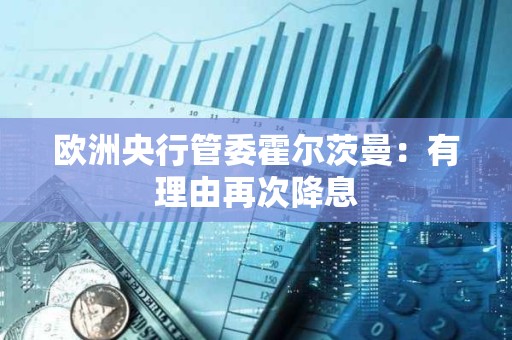 歐洲央行管委霍爾茨曼：有理由再次降息