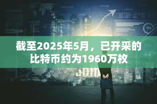 截至2025年5月，已開采的比特幣約為1960萬枚
