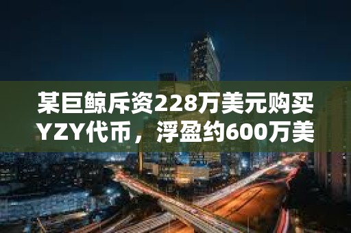 某巨鯨斥資228萬美元購買YZY代幣，浮盈約600萬美元