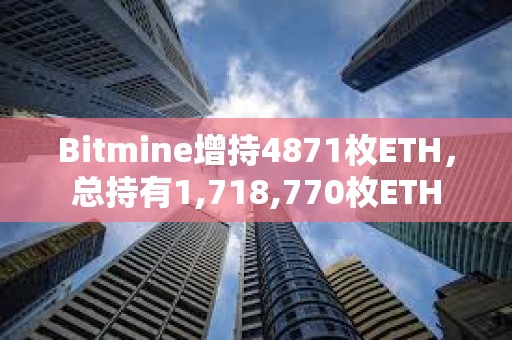 Bitmine增持4871枚ETH，總持有1,718,770枚ETH