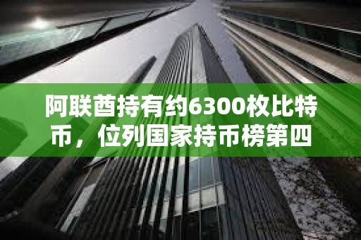 阿聯酋持有約6300枚比特幣，位列國家持幣榜第四
