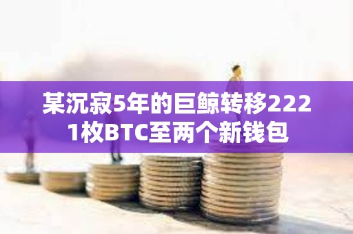 某沉寂5年的巨鯨轉移2221枚BTC至兩個新錢包