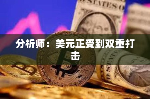 分析師：美元正受到雙重打擊