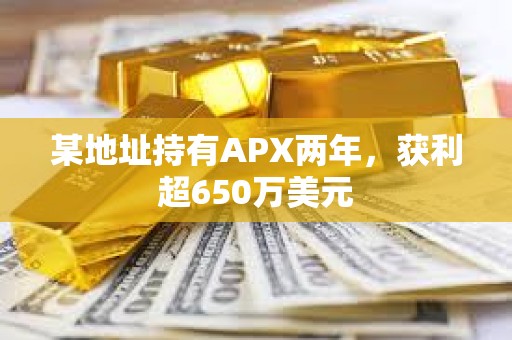 某地址持有APX兩年，獲利超650萬美元