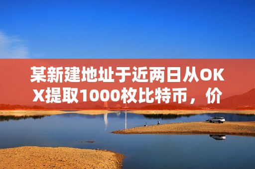 某新建地址于近兩日從OKX提取1000枚比特幣，價值1.1557億美元