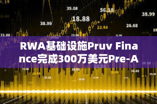 RWA基礎設施Pruv Finance完成300萬美元Pre-A輪融資