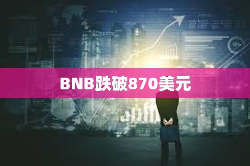 BNB跌破870美元