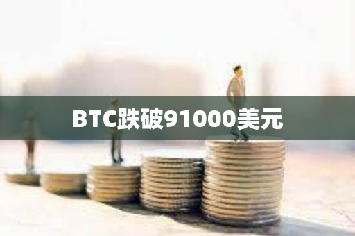 BTC跌破91000美元