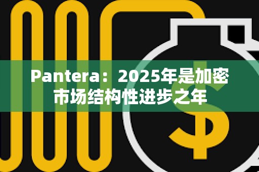 Pantera：2025年是加密市場結構性進步之年