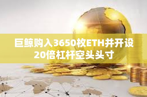 巨鯨購入3650枚ETH并開設20倍杠桿空頭頭寸