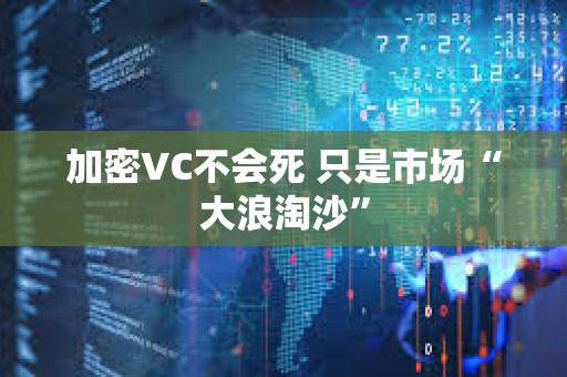 加密VC不會死 只是市場“大浪淘沙” 加密VC不會死 只是市場“大浪淘沙”