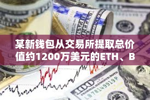 某新錢包從交易所提取總價值約1200萬美元的ETH、BNB、USDT