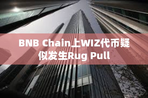 BNB Chain上WIZ代幣疑似發生Rug Pull