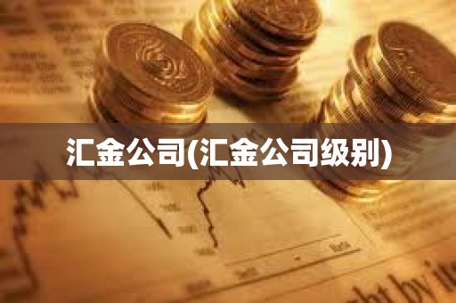 匯金公司(匯金公司級別)