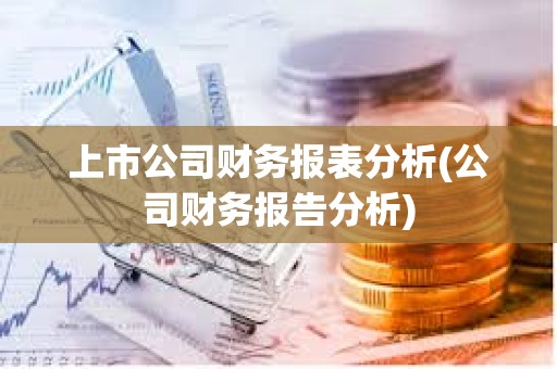 上市公司財務報表分析(公司財務報告分析)