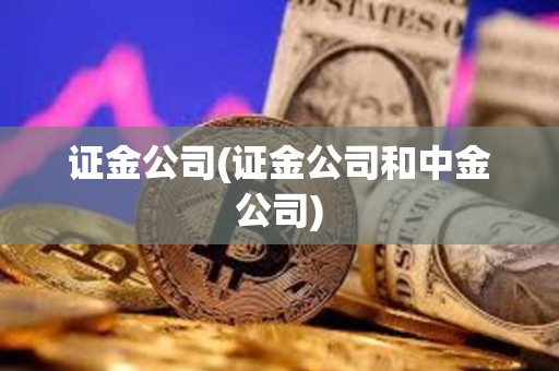 證金公司(證金公司和中金公司) 證金公司(證金公司和中金公司)