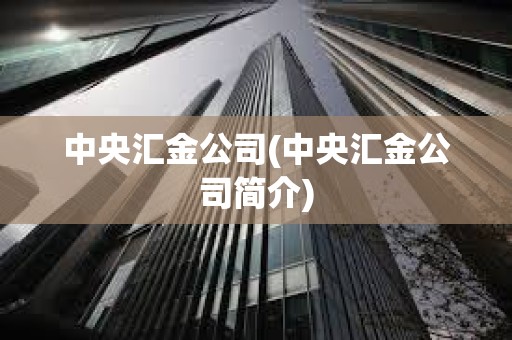 中央匯金公司(中央匯金公司簡介) 中央匯金公司(中央匯金公司簡介)