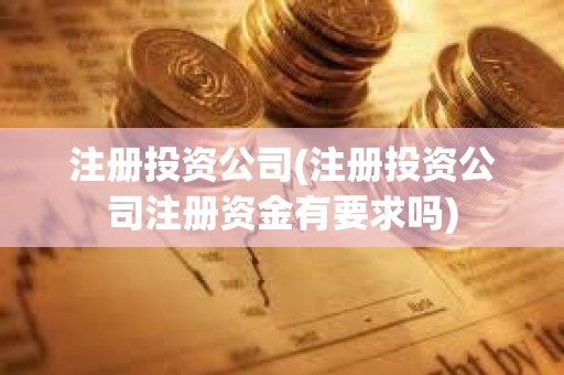 注冊投資公司(注冊投資公司注冊資金有要求嗎)