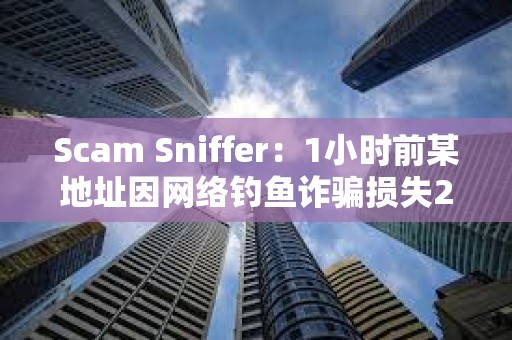 Scam Sniffer：1小時前某地址因網絡釣魚詐騙損失25萬美元資產