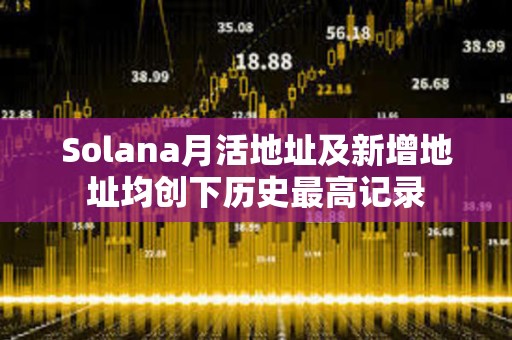 Solana月活地址及新增地址均創(chuàng)下歷史最高記錄