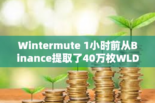 Wintermute 1小時(shí)前從Binance提取了40萬枚WLD