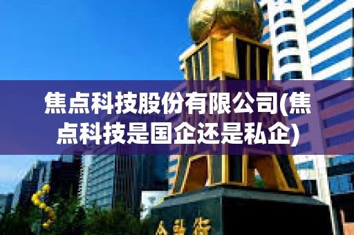 焦點科技股份有限公司(焦點科技是國企還是私企)