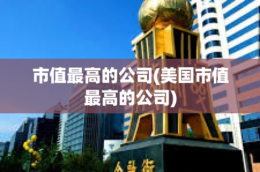 市值最高的公司(美國市值最高的公司)